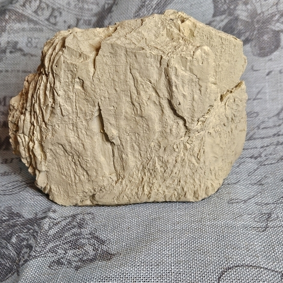 Elephant imprint - Picture 2 of 4